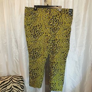 New York & Company Audrey slim ankle chartreuse/ brown sz 18